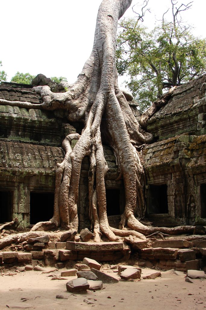 The Temples of Angkor, Siem Reap, Cambodia