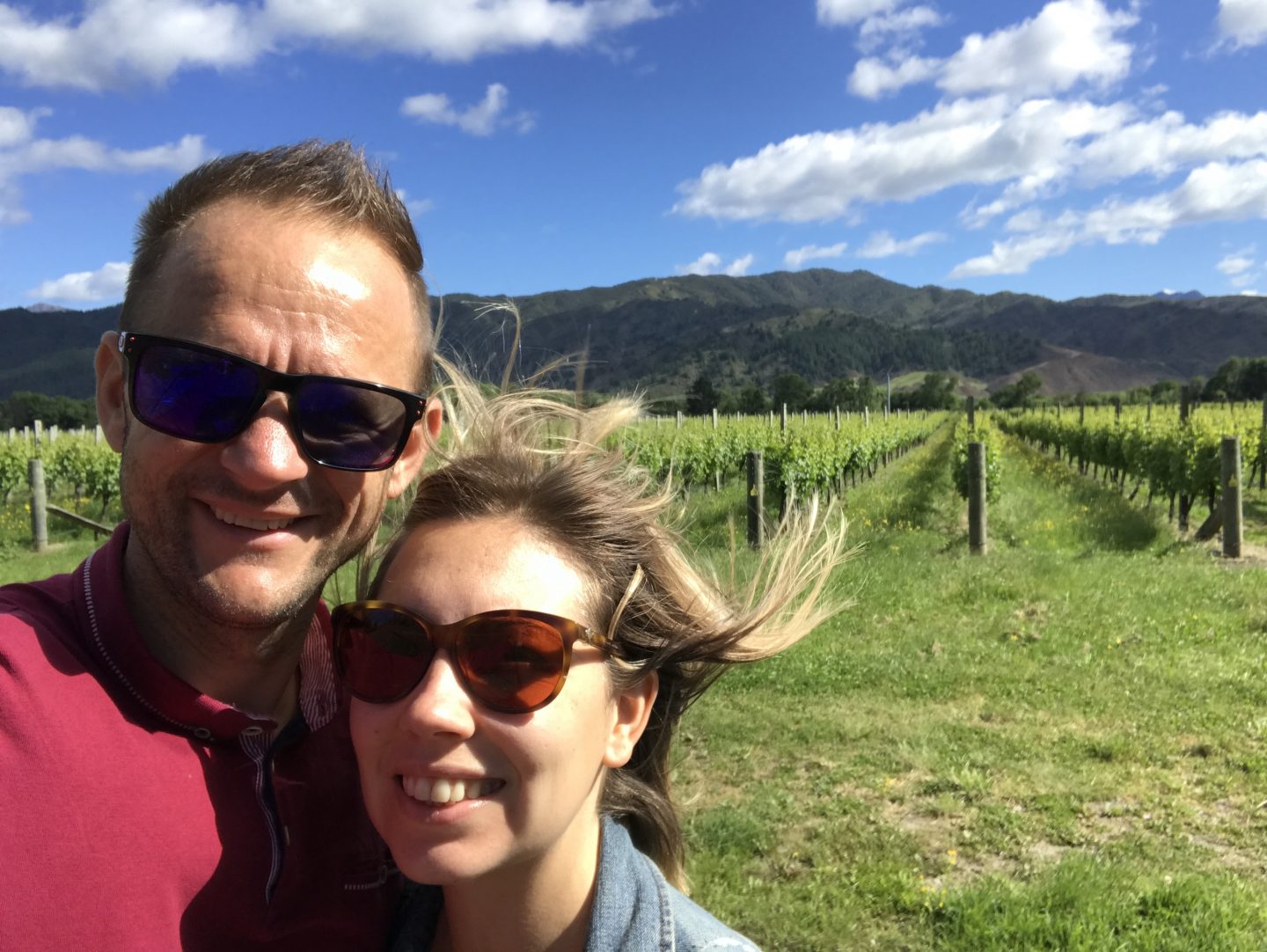 Malbrough Wine Region, South Island, New Zealand