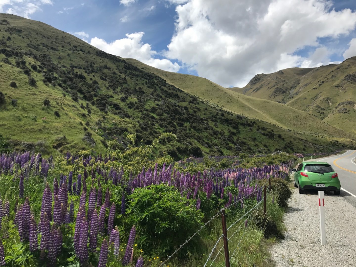 Our New Zealand Road Trip